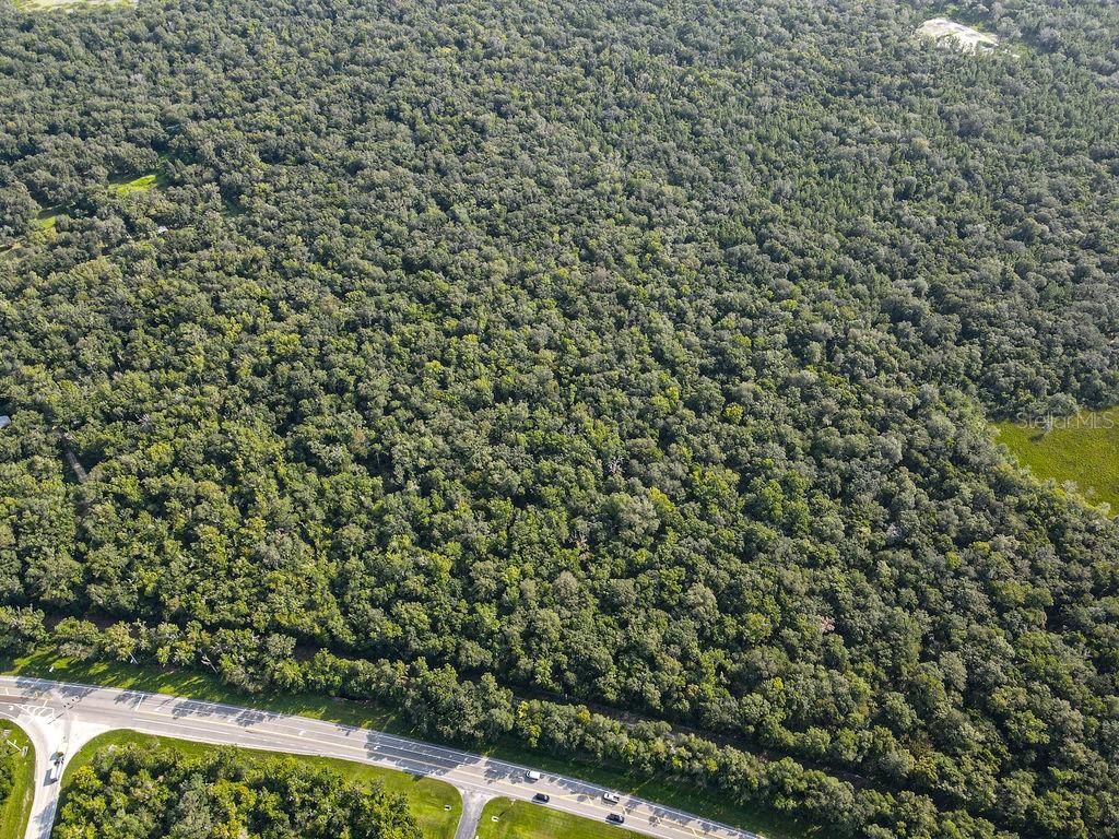 Image 8 of 30 For Ponce De Leon Boulevard