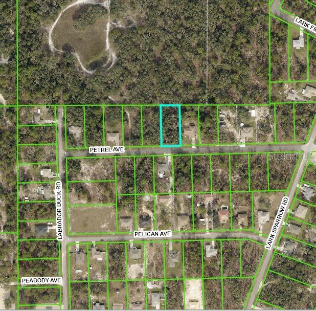 Listing Details for 11455 Petrel Ave Lot 6, WEEKI WACHEE, FL 34614