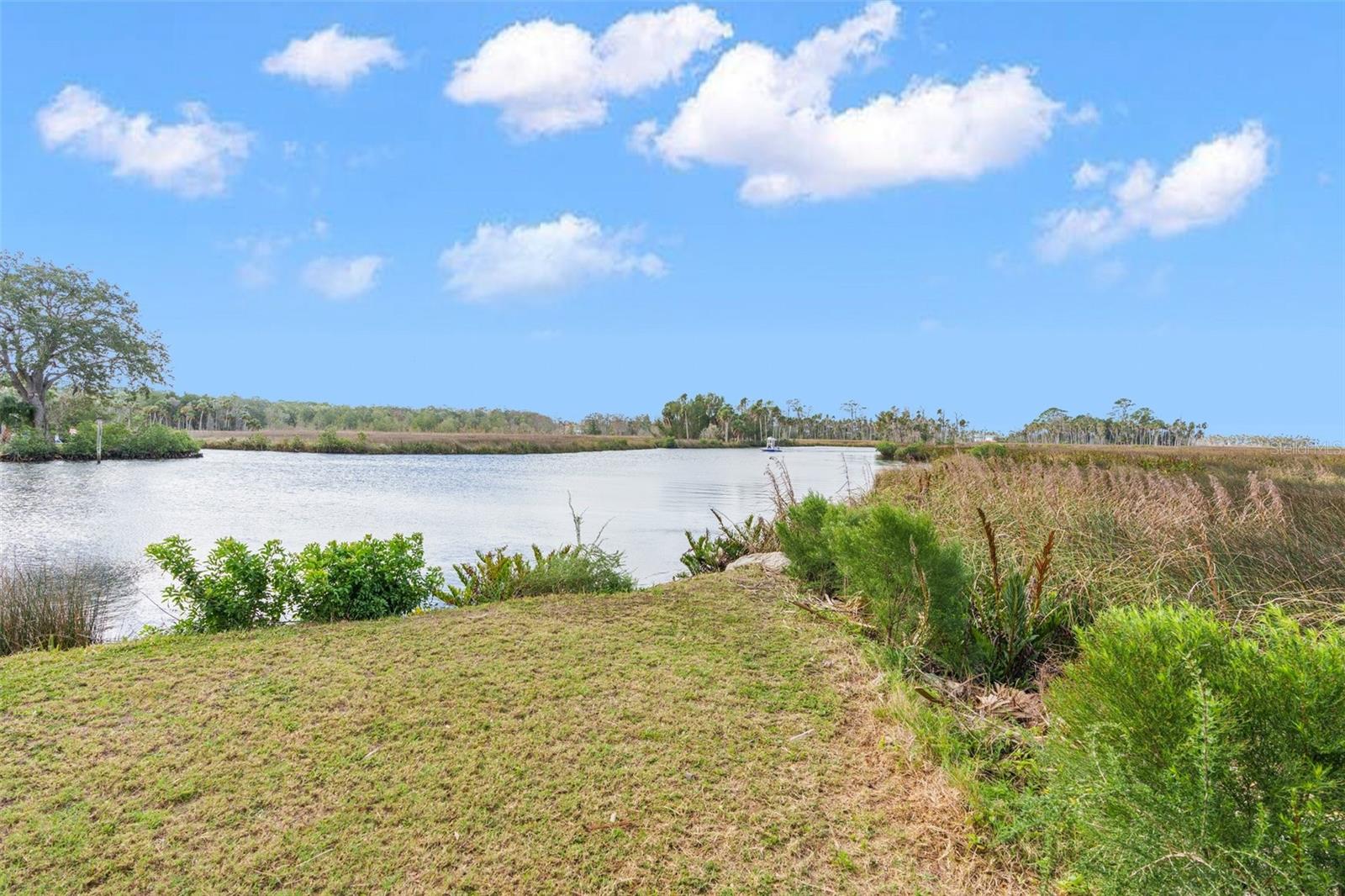 Listing photo id 8 for 8064 Marys Fish Camp Road