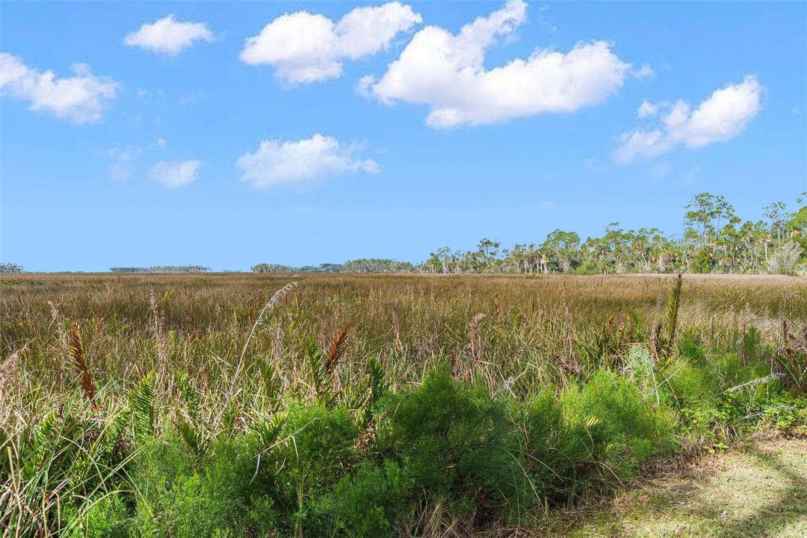 Listing photo id 47 for 8064 Marys Fish Camp Road