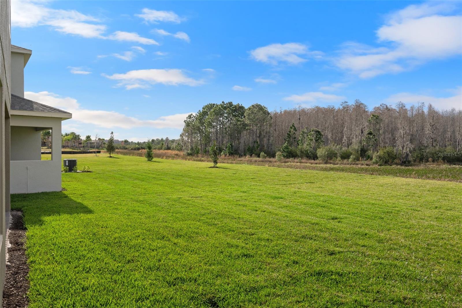 Image 69 of 69 For 32311 Mahogany Valley Drive