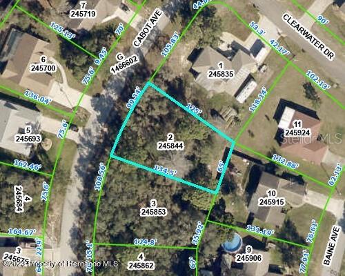 Details for Cabot Avenue, SPRING HILL, FL 34606