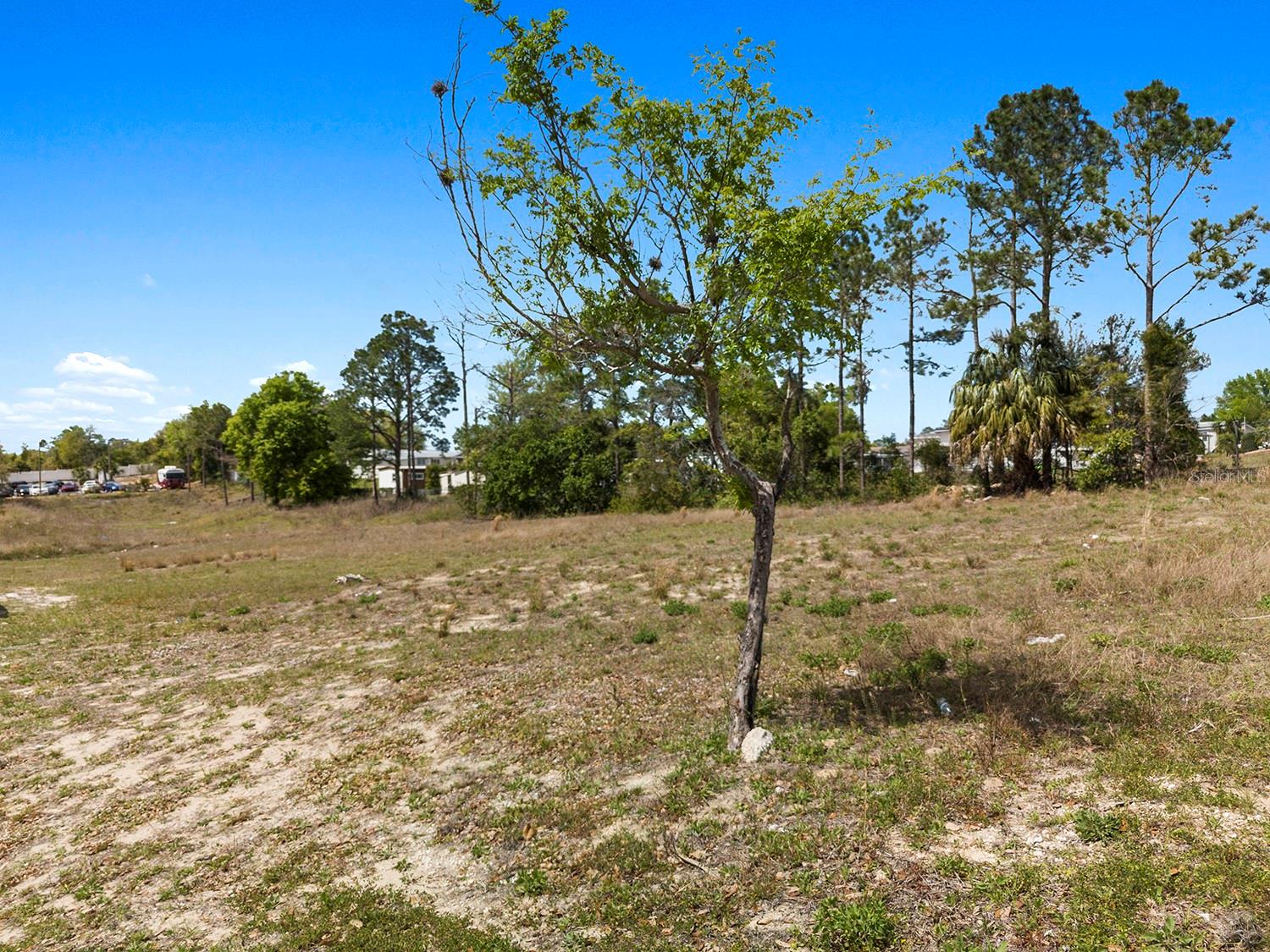 Listing photo id 11 for Weeping Willow Street