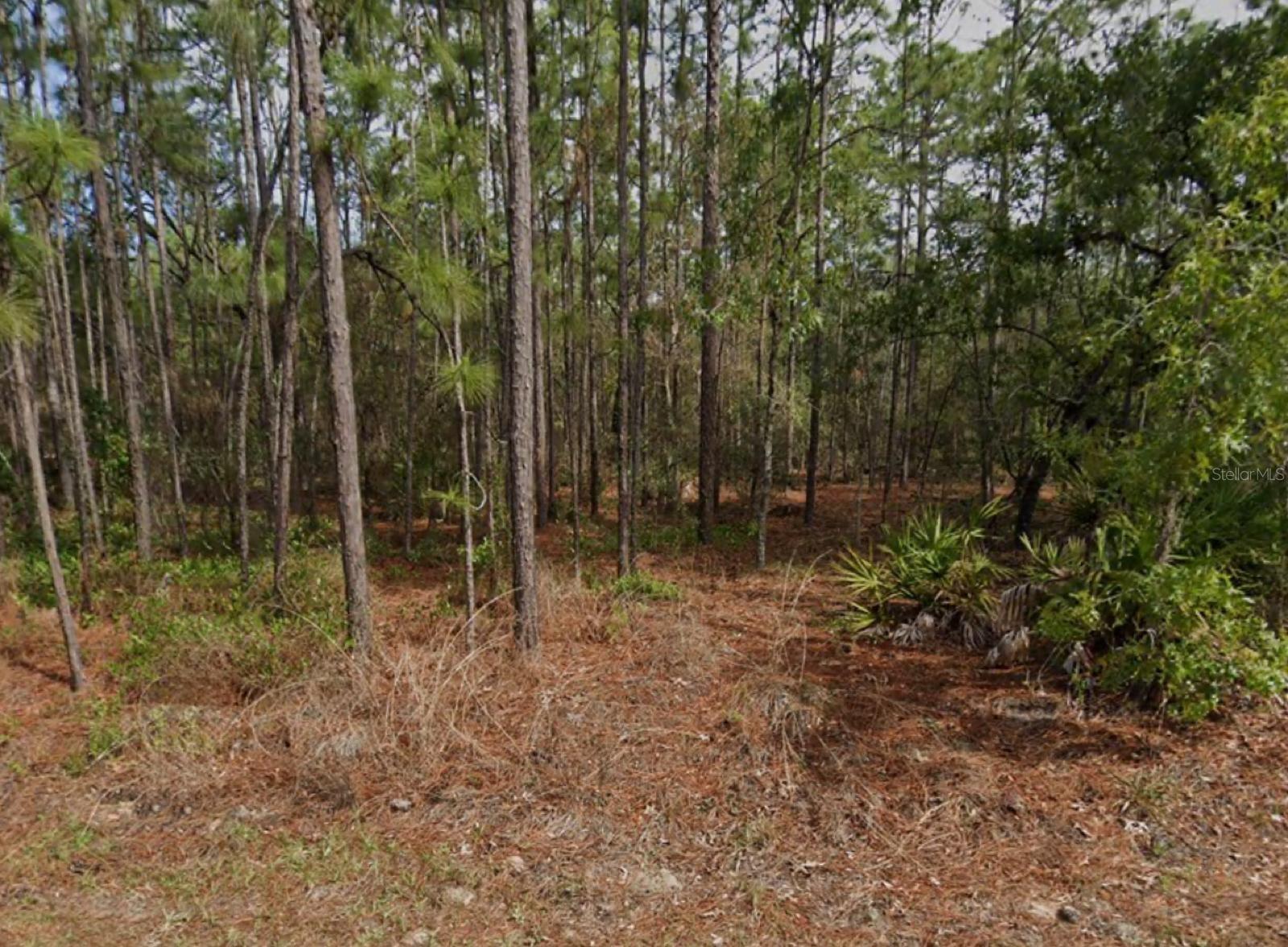 Details for 38 Fringetree Street, HOMOSASSA, FL 34446