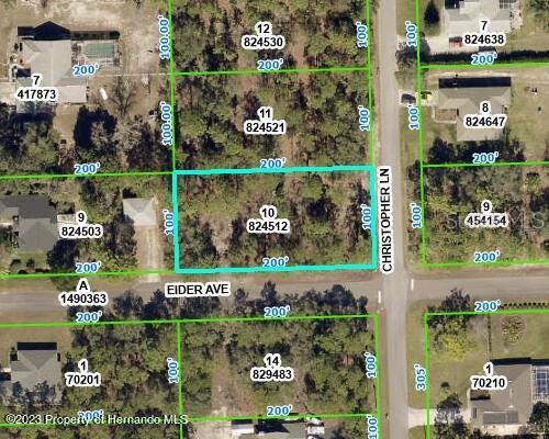 Details for 0 Christopher Lane, WEEKI WACHEE, FL 34613