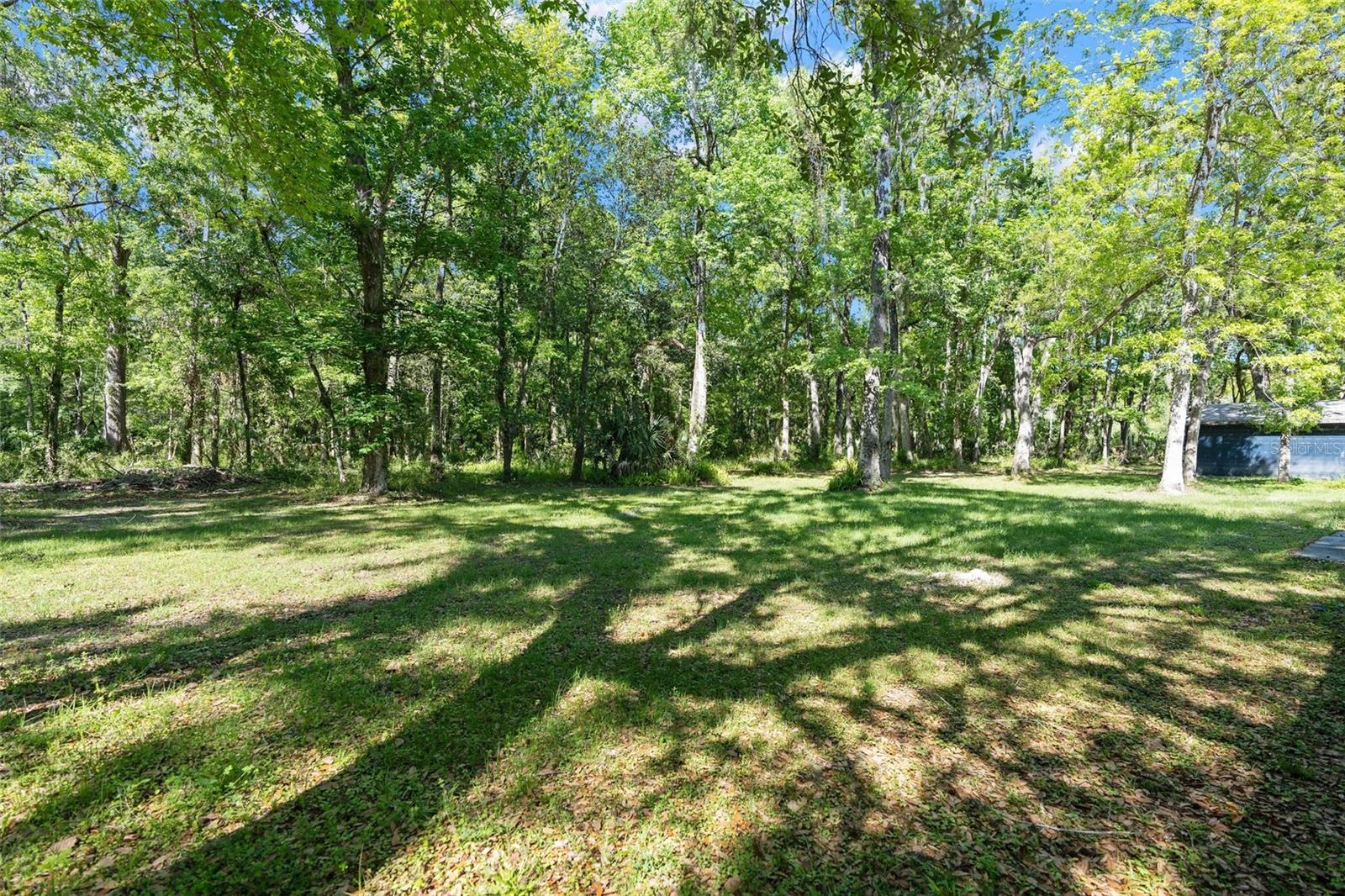 Listing photo id 49 for 17367 Lake Lindsey Road