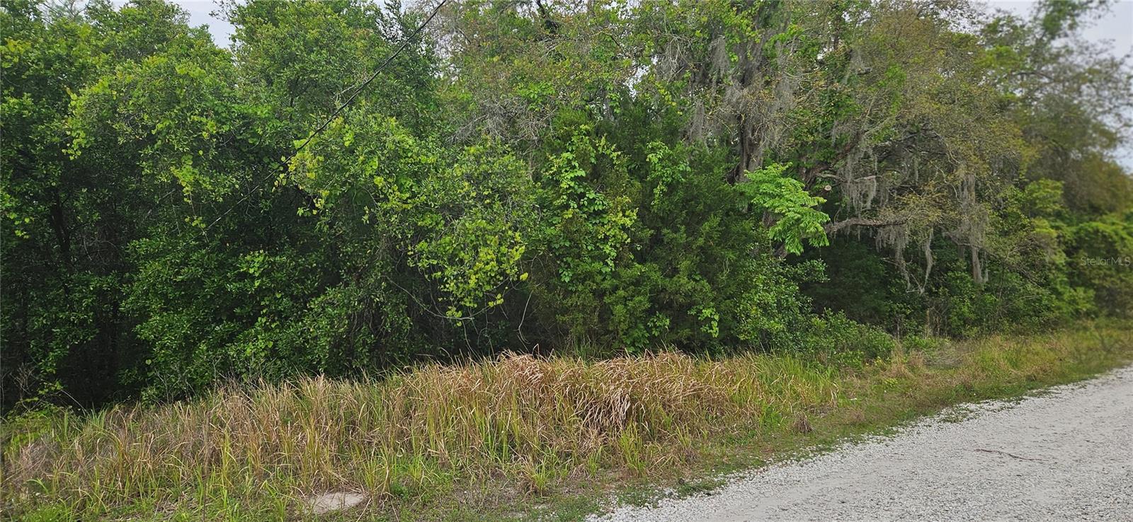 Listing Details for Tbd Deer Lake Drive, NEW PORT RICHEY, FL 34654