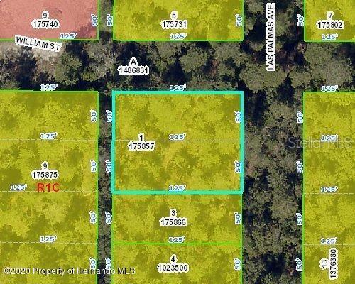 Listing Details for Las Palmas Avenue, SPRING HILL, FL 34606