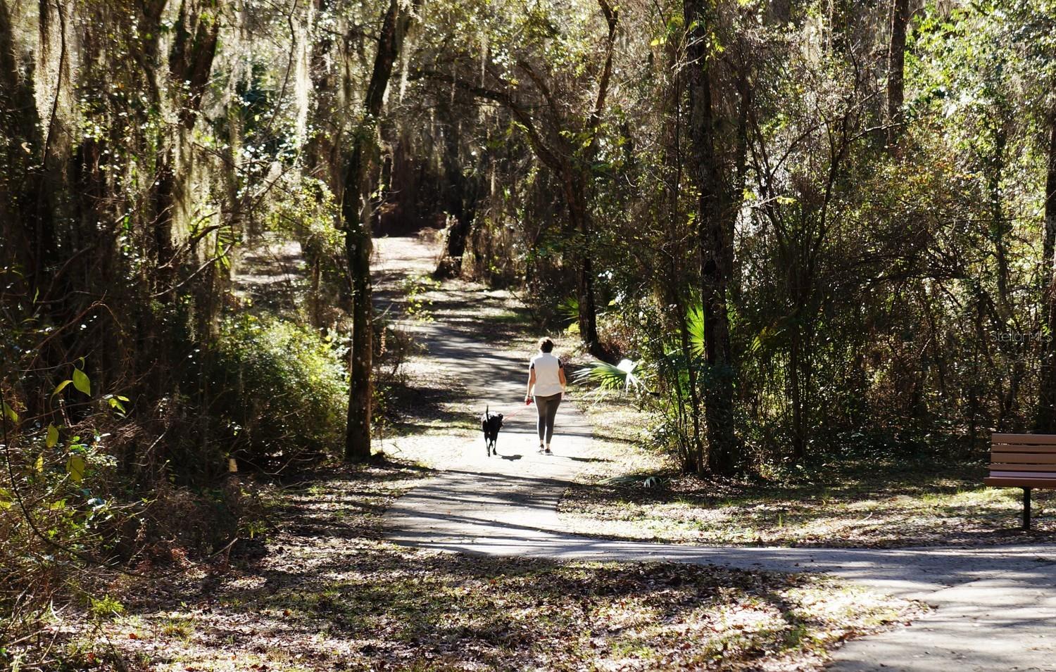 Image 31 of 38 For 254 Doerr Path