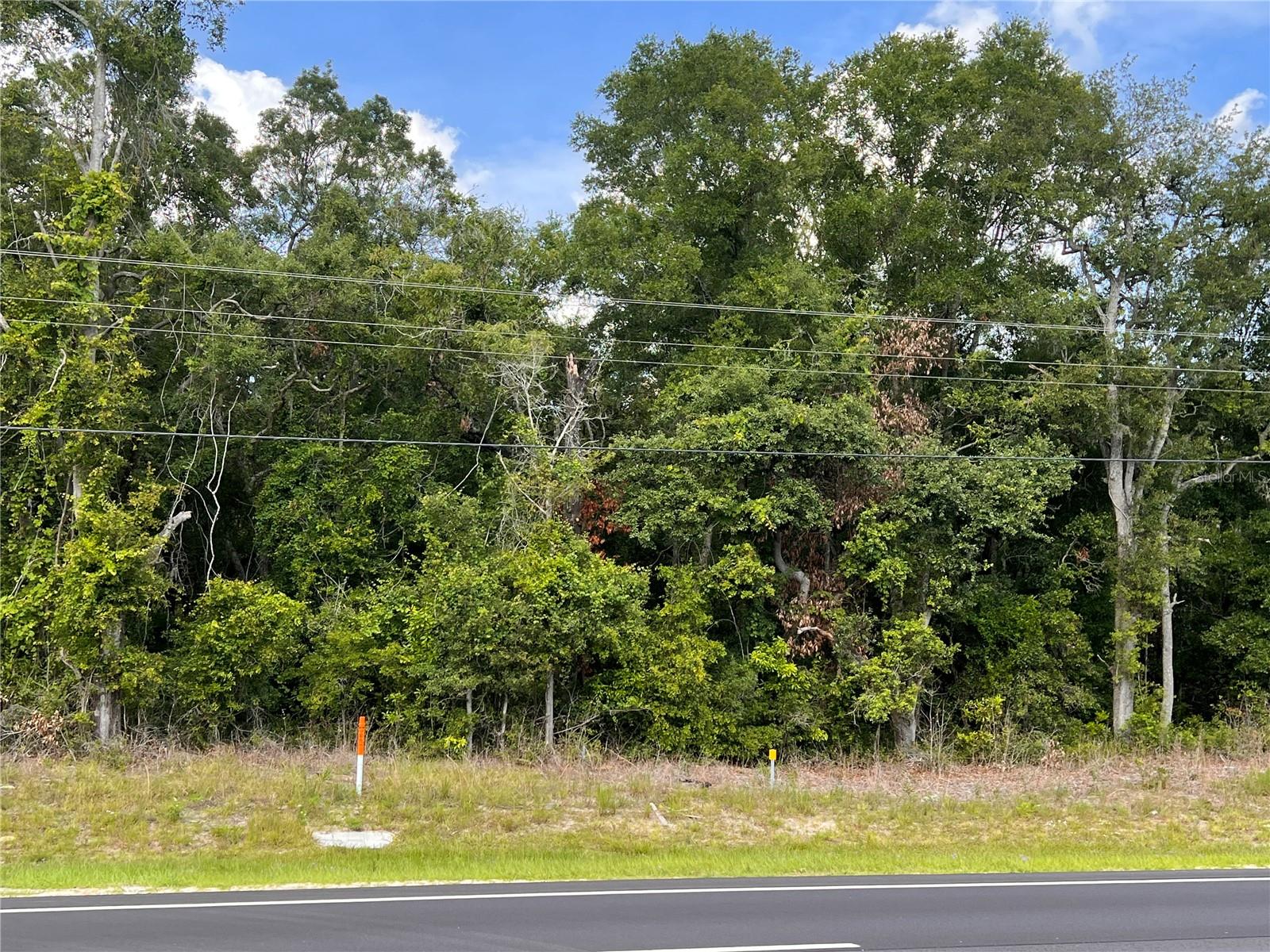 Details for  Us 19  , CHIEFLAND, FL 32626