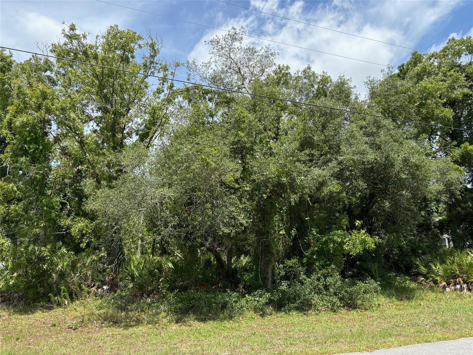 Details for Lot 3 Mavis Road, WEEKI WACHEE, FL 34613