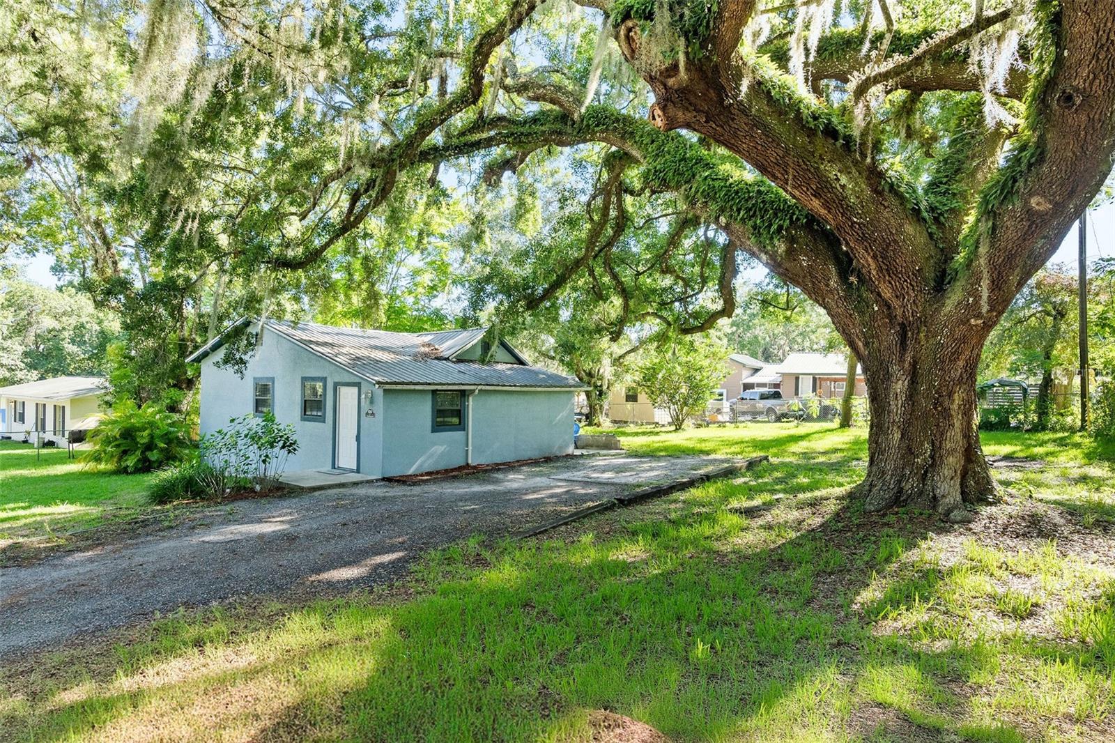 Image 15 of 19 For 806 Schoolhouse Street