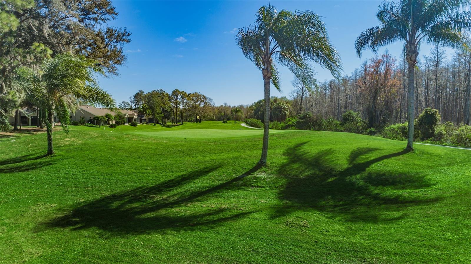 Image 98 of 100 For 6030 Country Ridge Lane