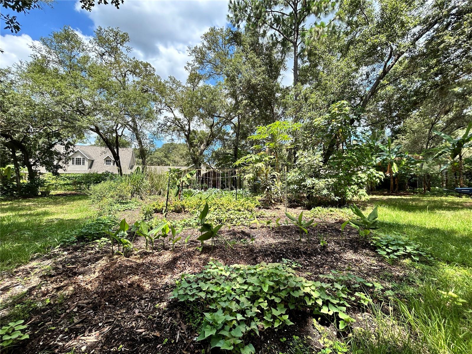 Image 98 of 100 For 15518 Renee Lane