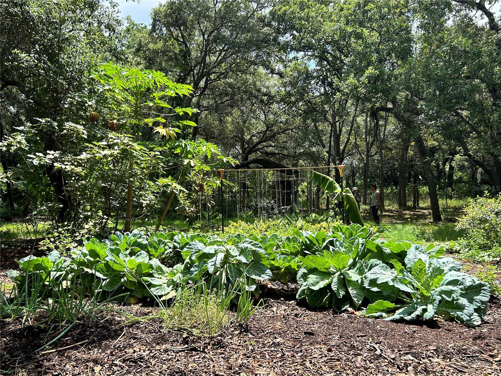 Image 99 of 100 For 15518 Renee Lane