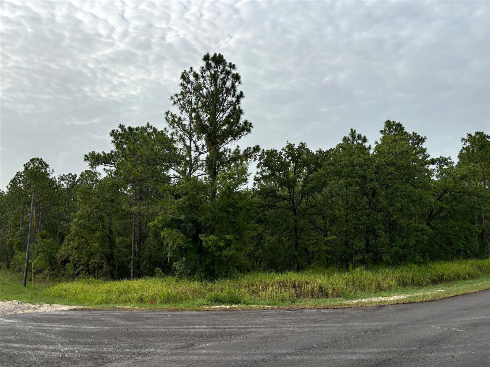 Details for Lot 1 Penn State Road, WEEKI WACHEE, FL 34614