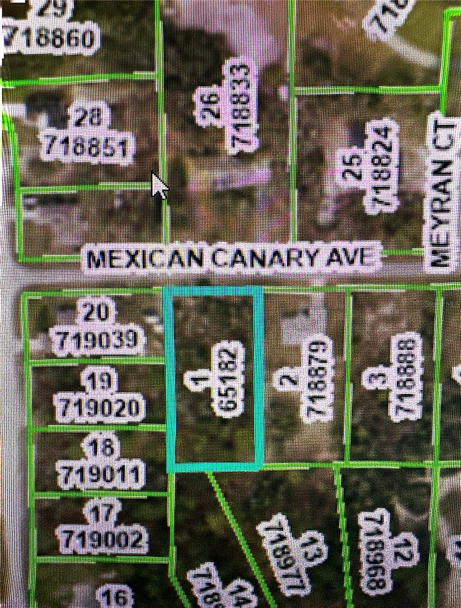 Image 10 of 18 For 11283 Mexican Canary Avenue