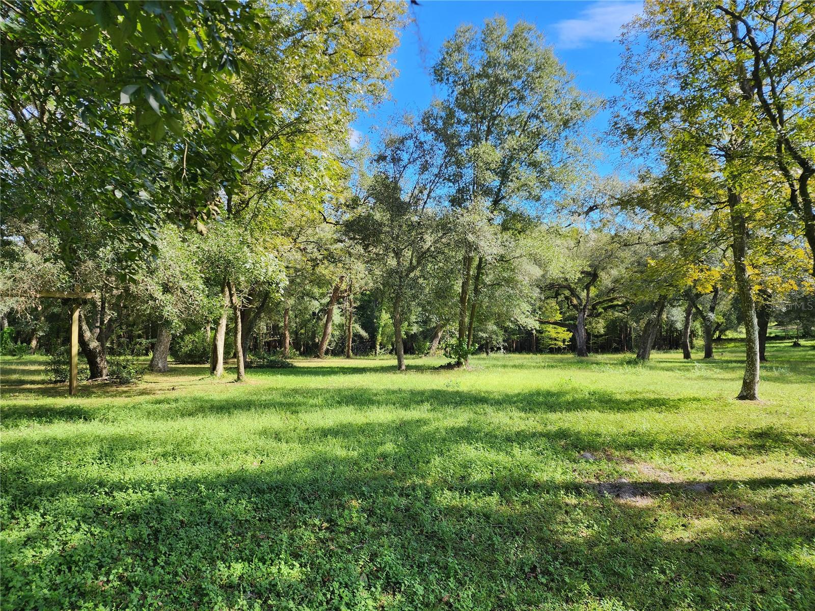 Image 8 of 64 For 37761 Oak Forest Drive