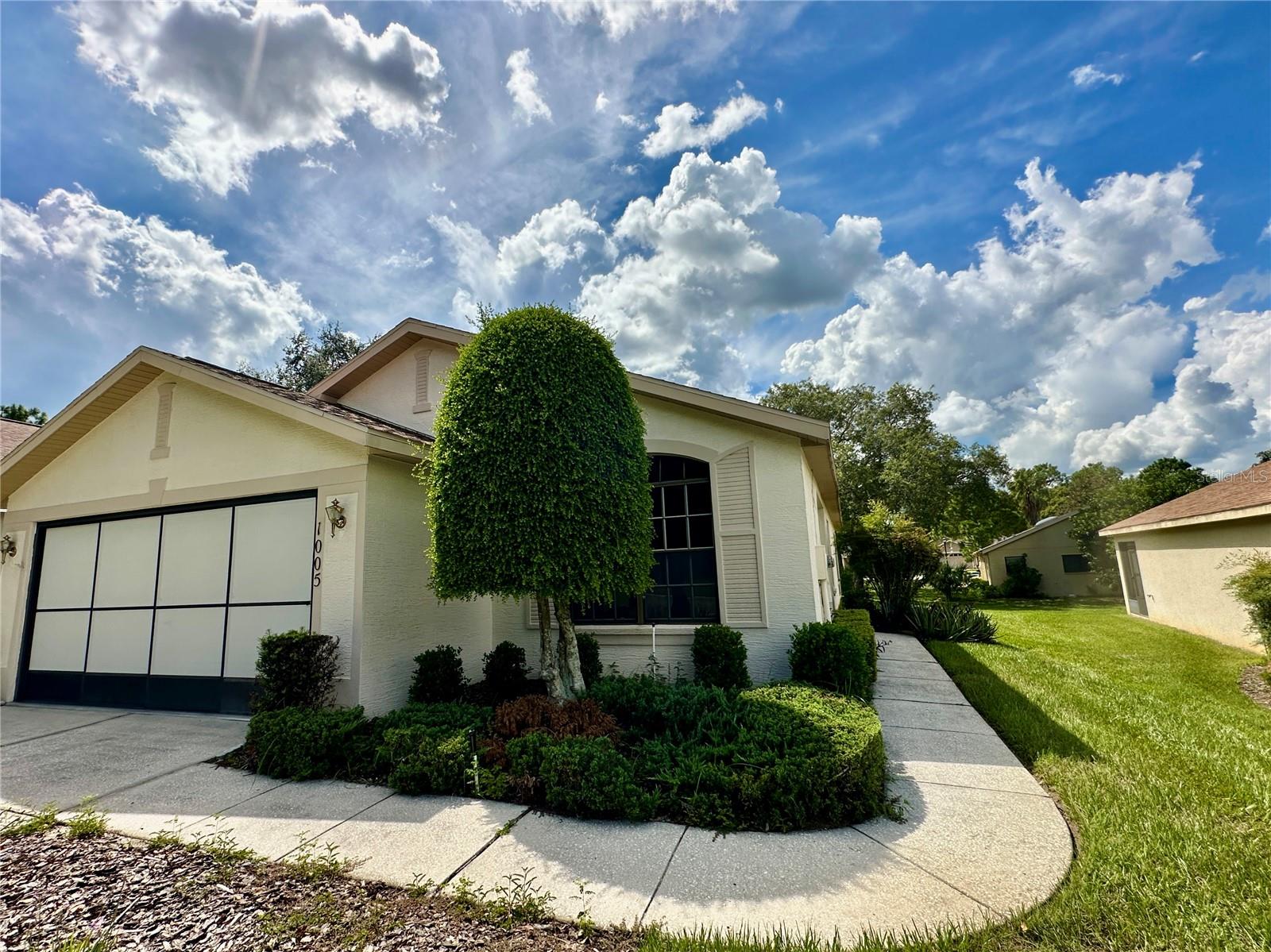 Details for 1005 Indigo Run Court, SPRING HILL, FL 34609