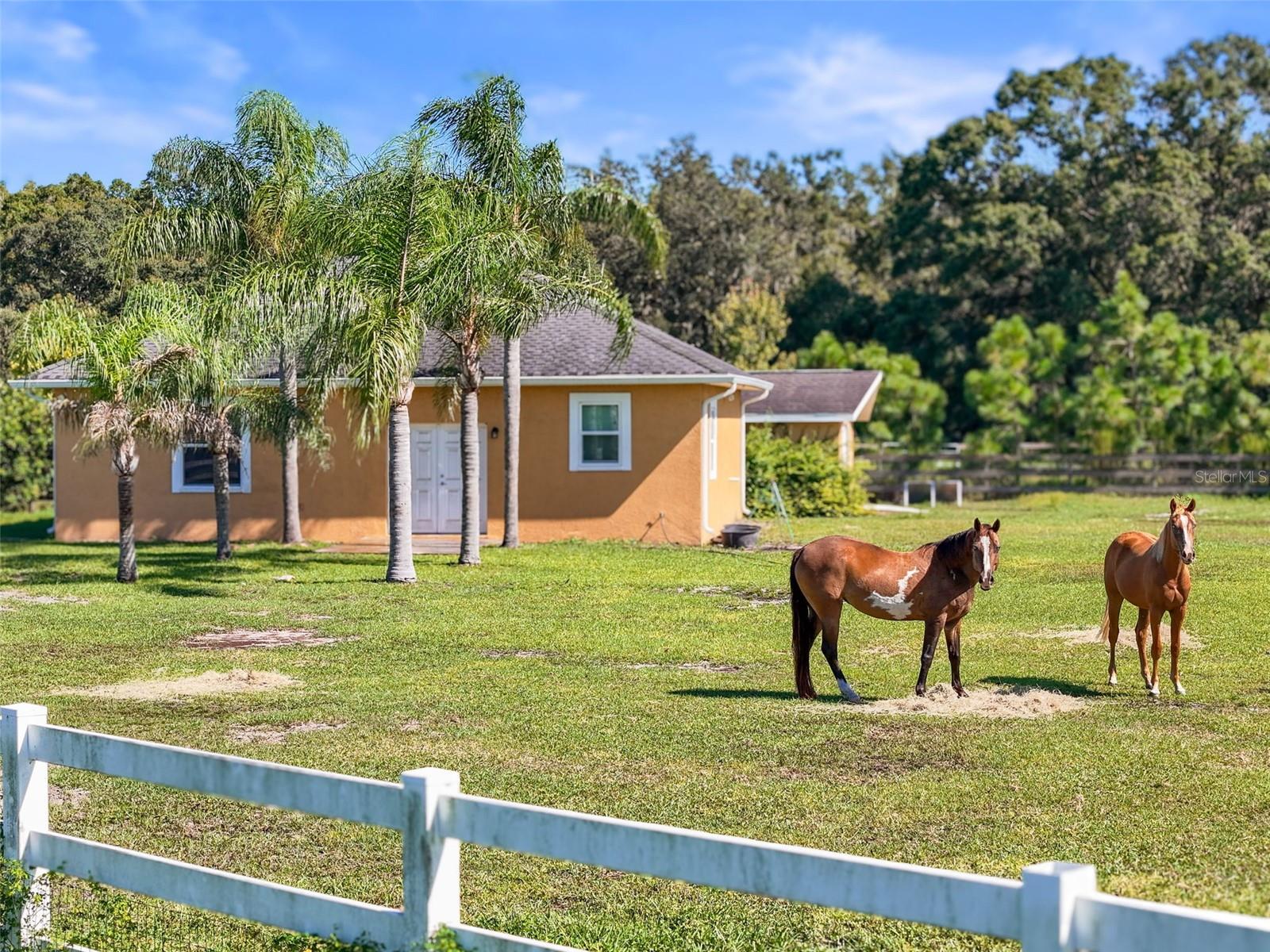 Image 86 of 100 For 11430 Trotting Down Drive