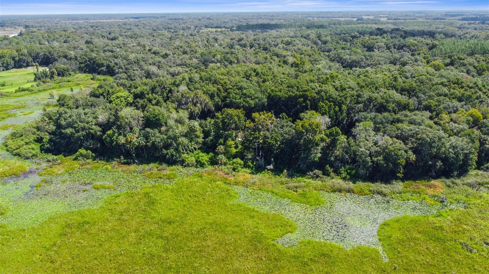 Image 9 of 16 For 6661 Turner Camp Road