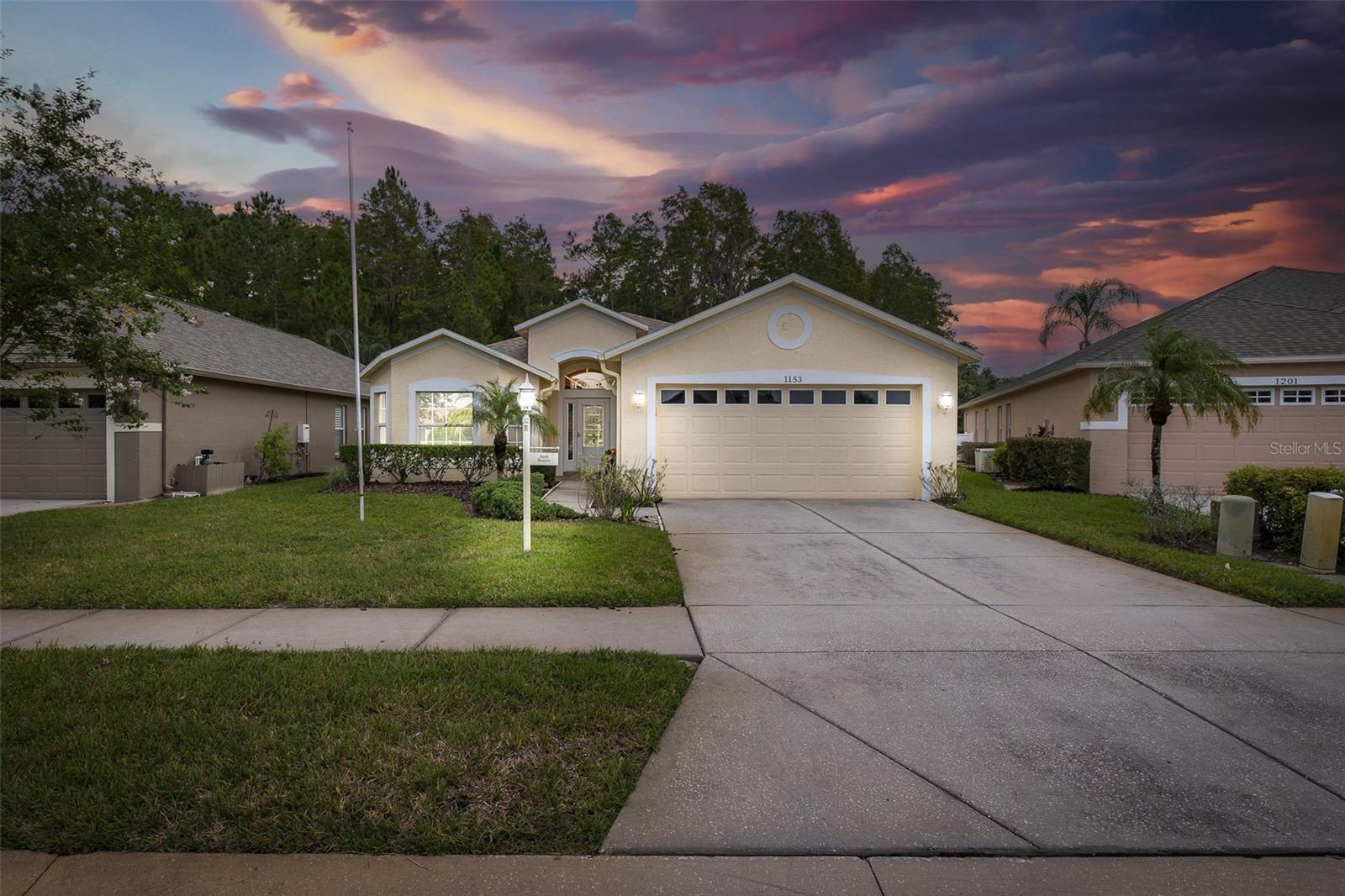 Details for 1153 Dustan Place, TRINITY, FL 34655