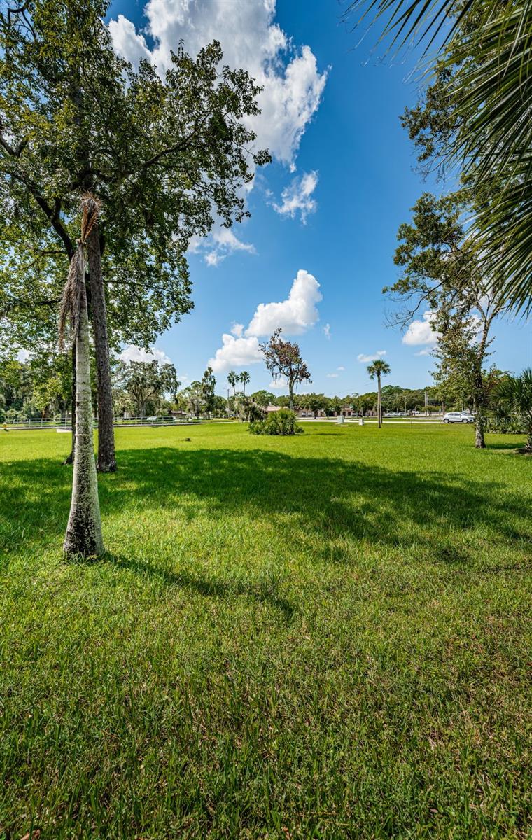 Image 49 of 62 For 1000 Tarpon Woods Boulevard 703