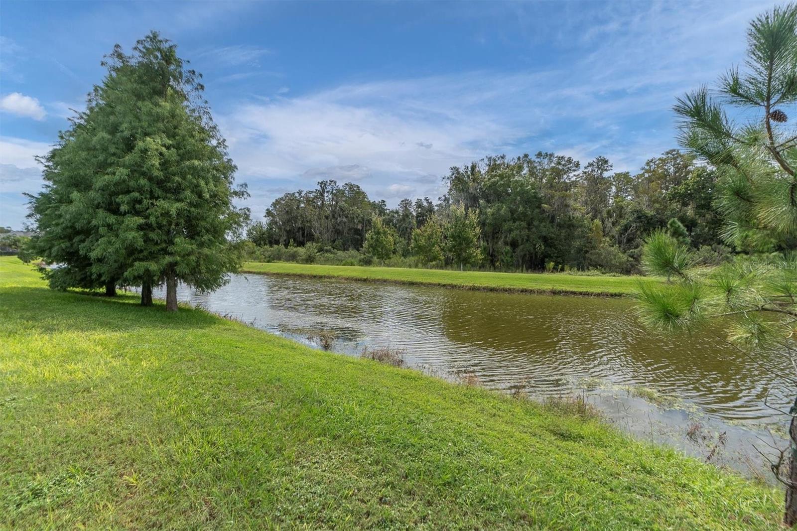 Listing photo id 58 for 4121 Barbour Trail