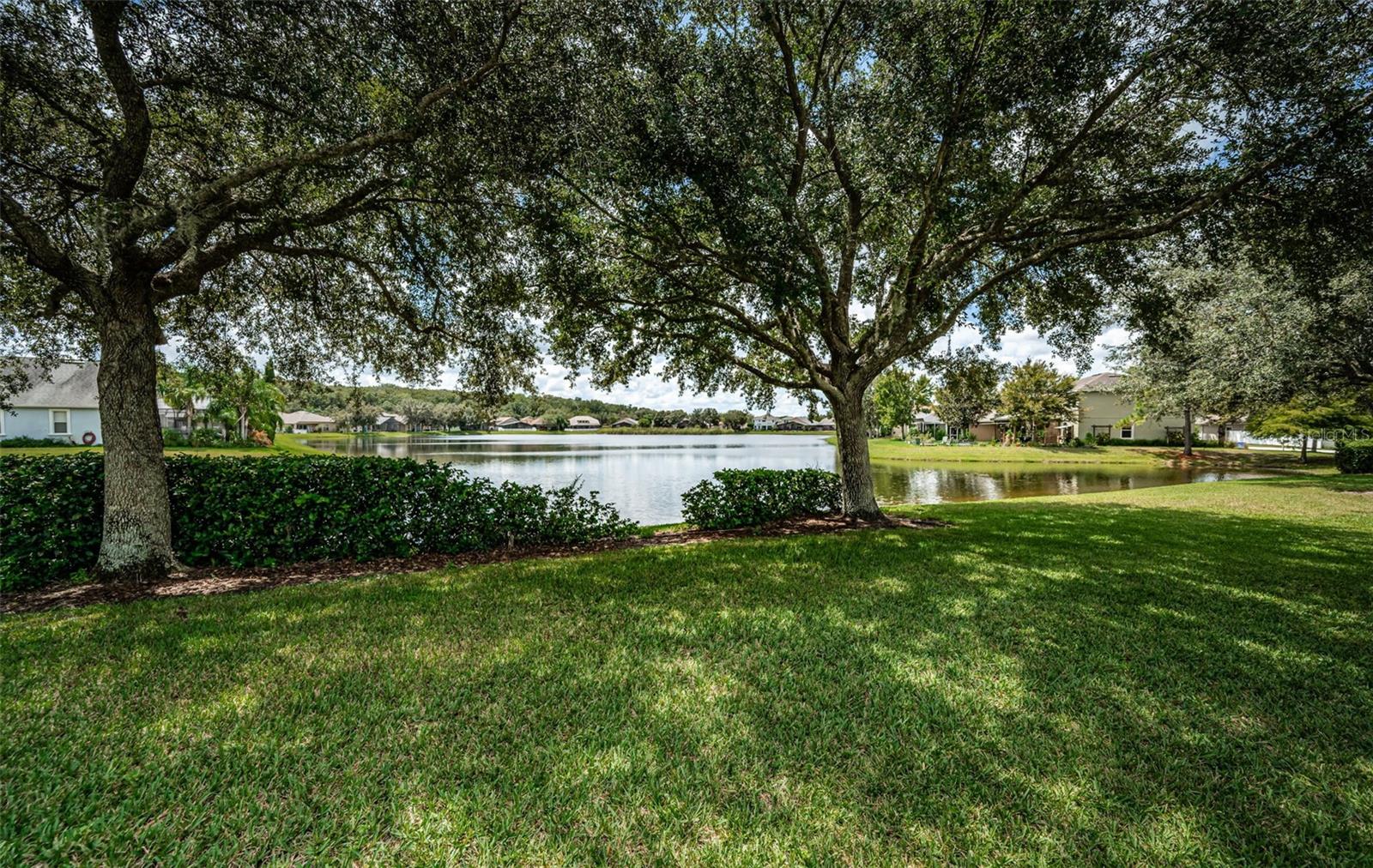 Listing photo id 46 for 15918 Pond Rush Court