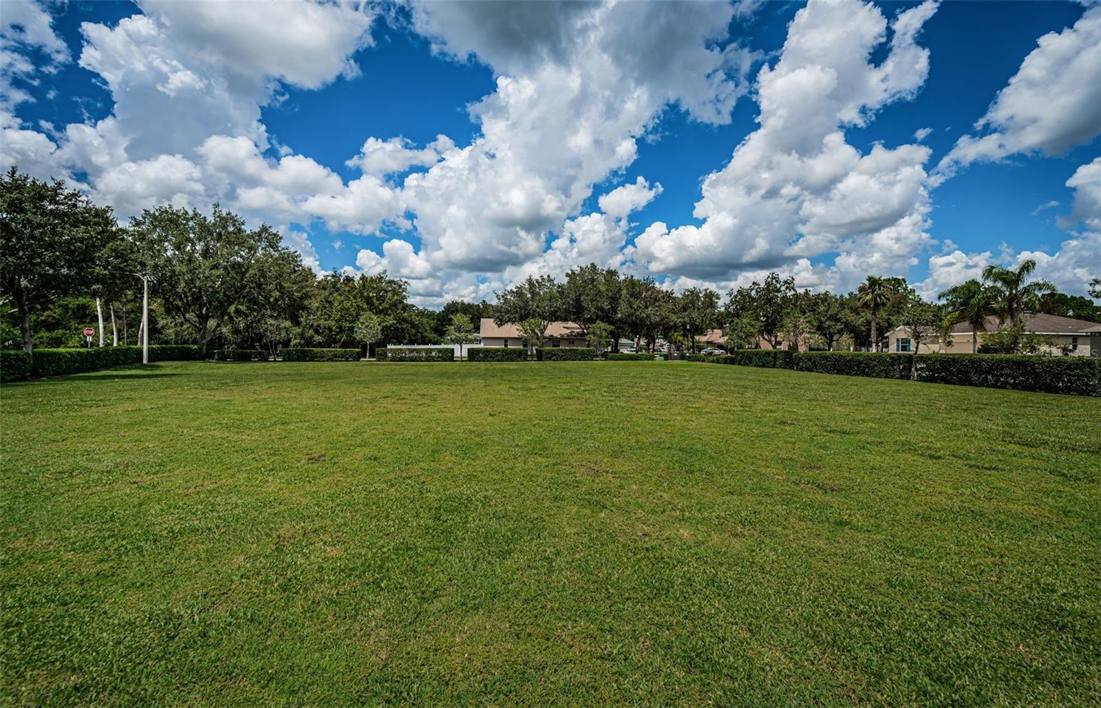 Image 55 of 56 For 15918 Pond Rush Court