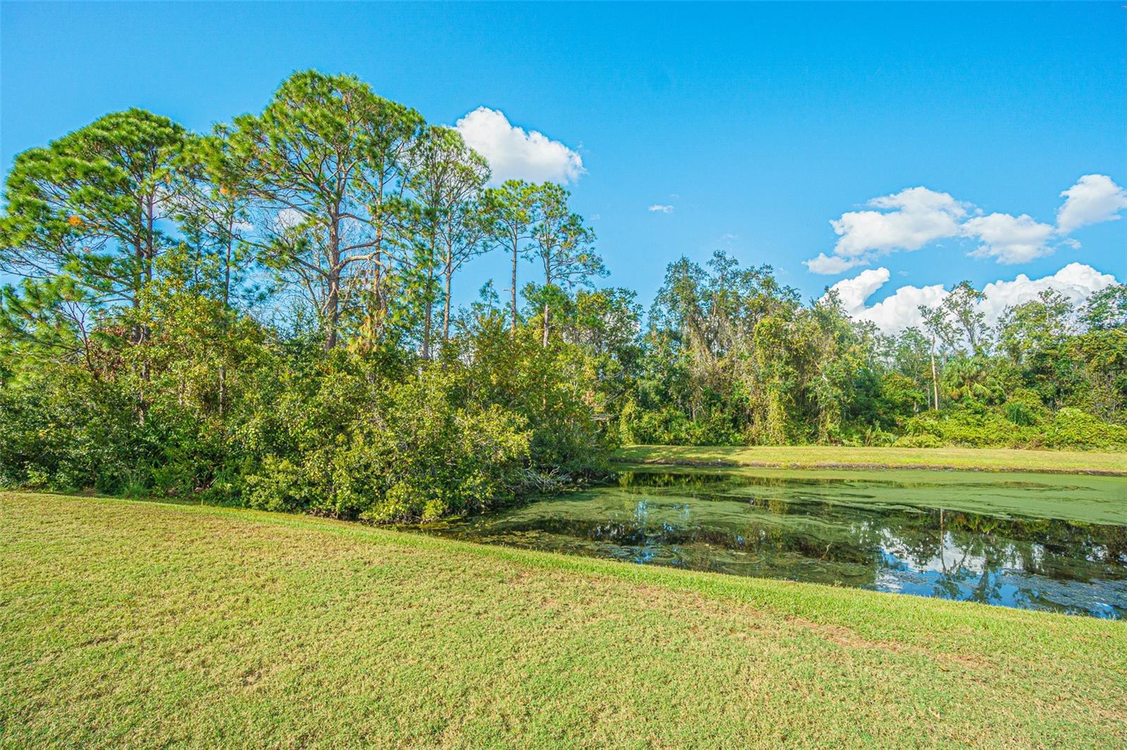 Image 8 of 43 For 11231 Belle Haven Drive