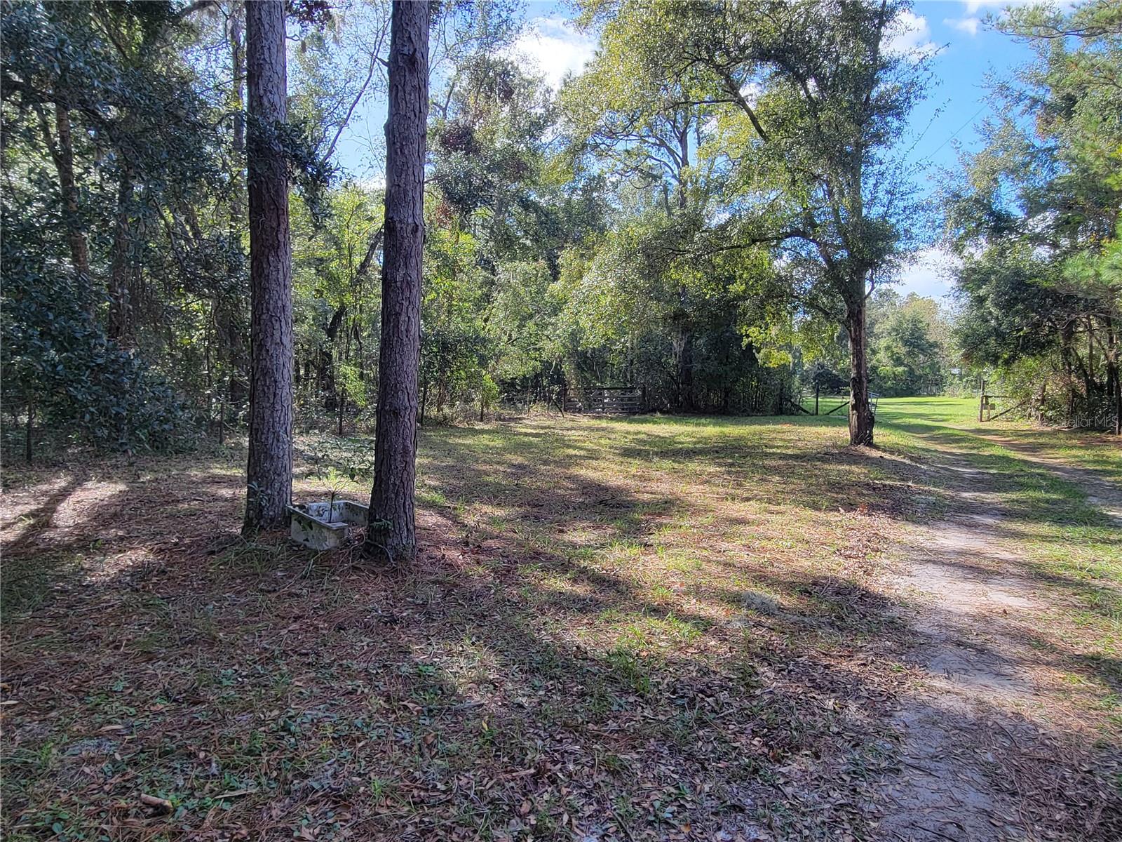 Listing photo id 2 for 13080 Old Crystal River Road