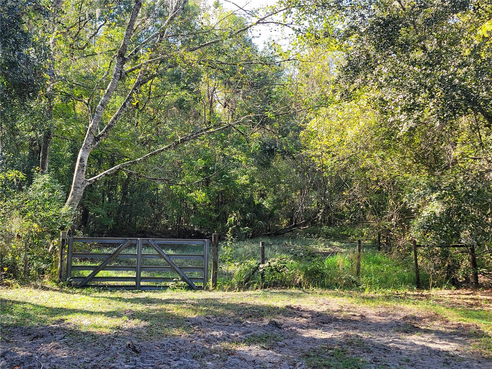 Listing photo id 5 for 13080 Old Crystal River Road