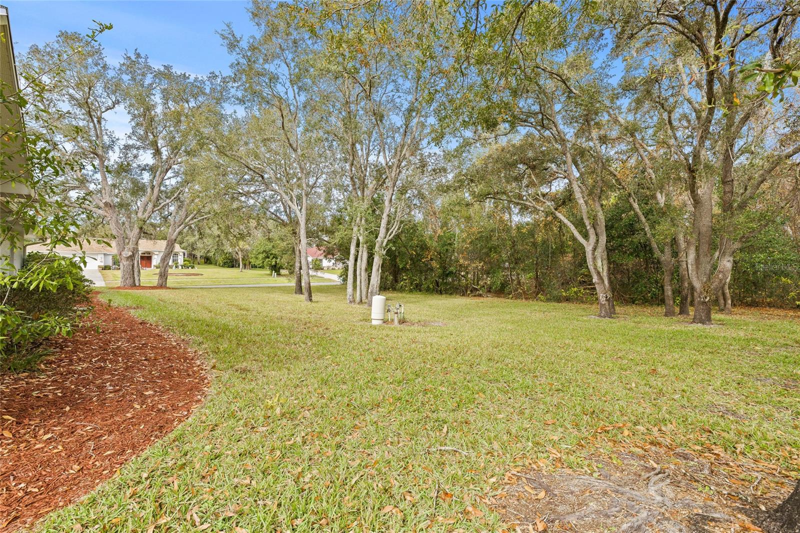 Listing photo id 39 for 12213 Mango Court