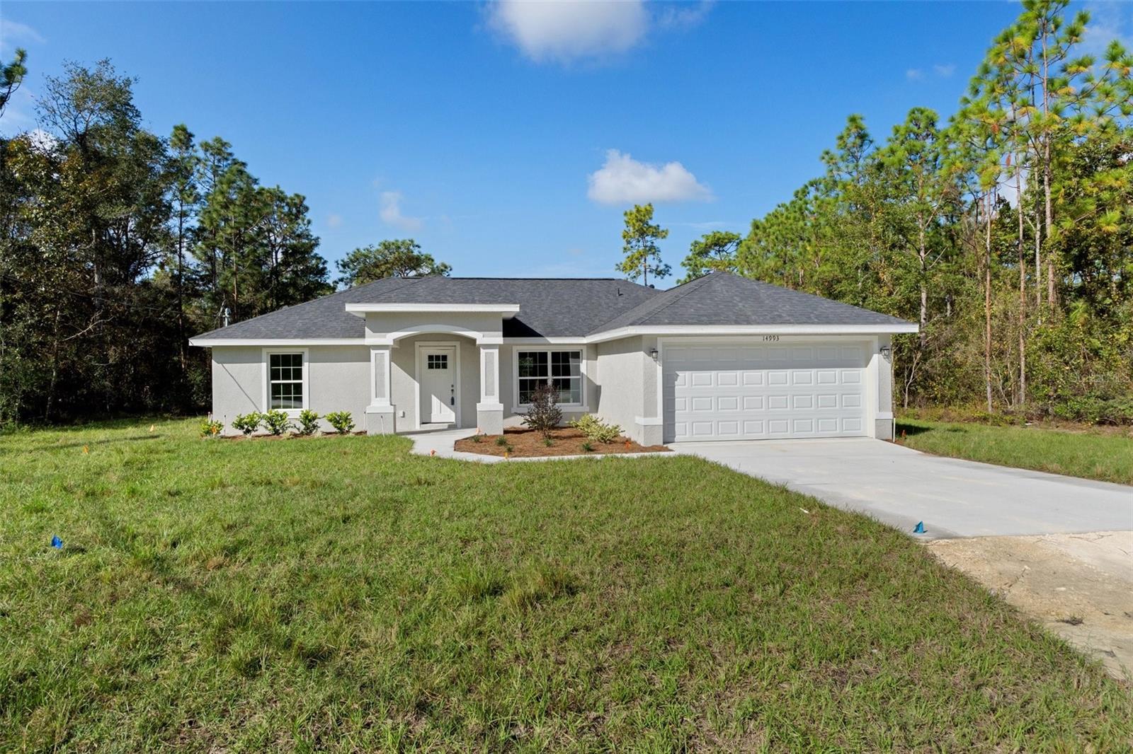 Details for 14993 Chimney Swift Road, BROOKSVILLE, FL 34614