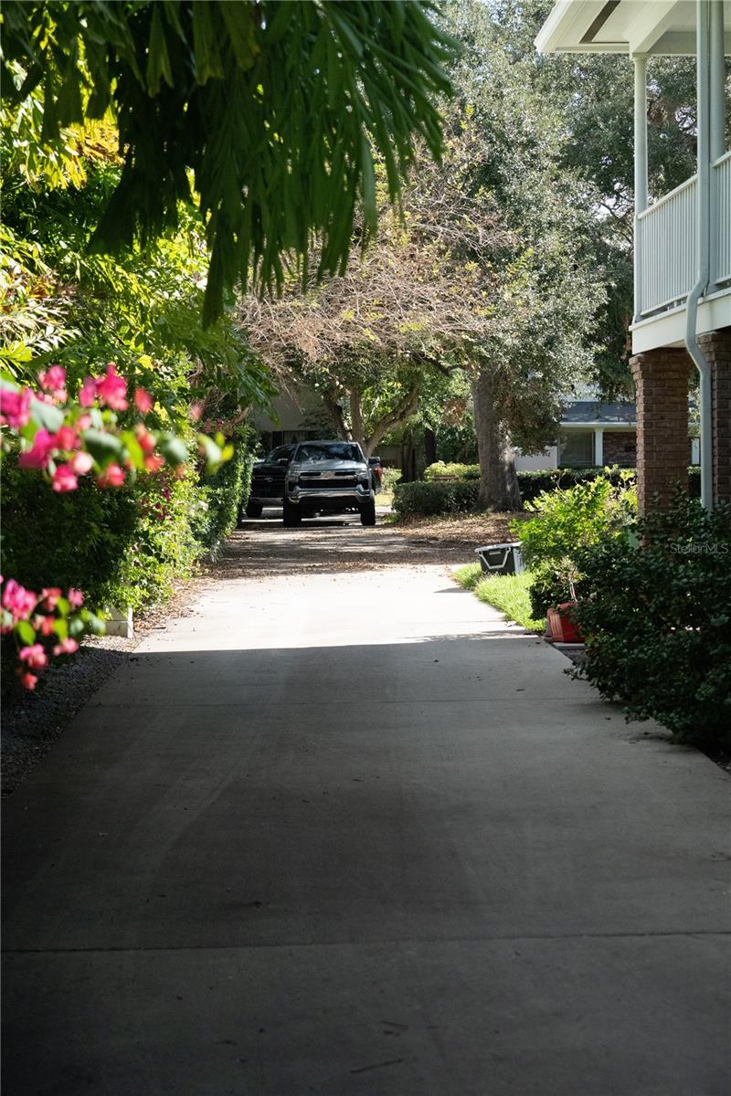 Image 9 of 12 For 2303 Hesperides Street