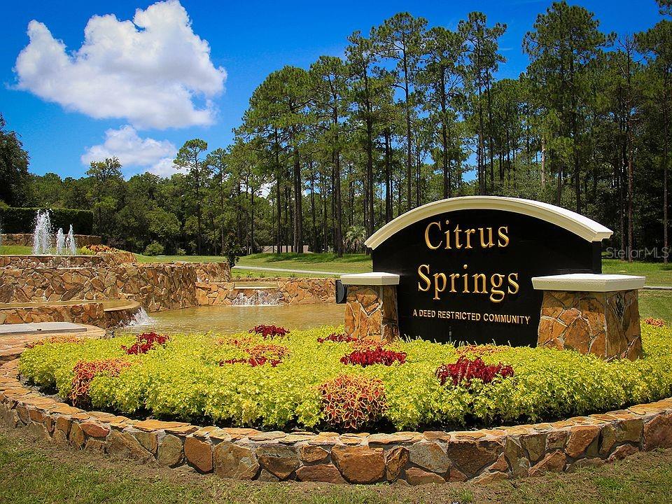 Listing Details for 3755 Wilhelm Street, CITRUS SPRINGS, FL 34433