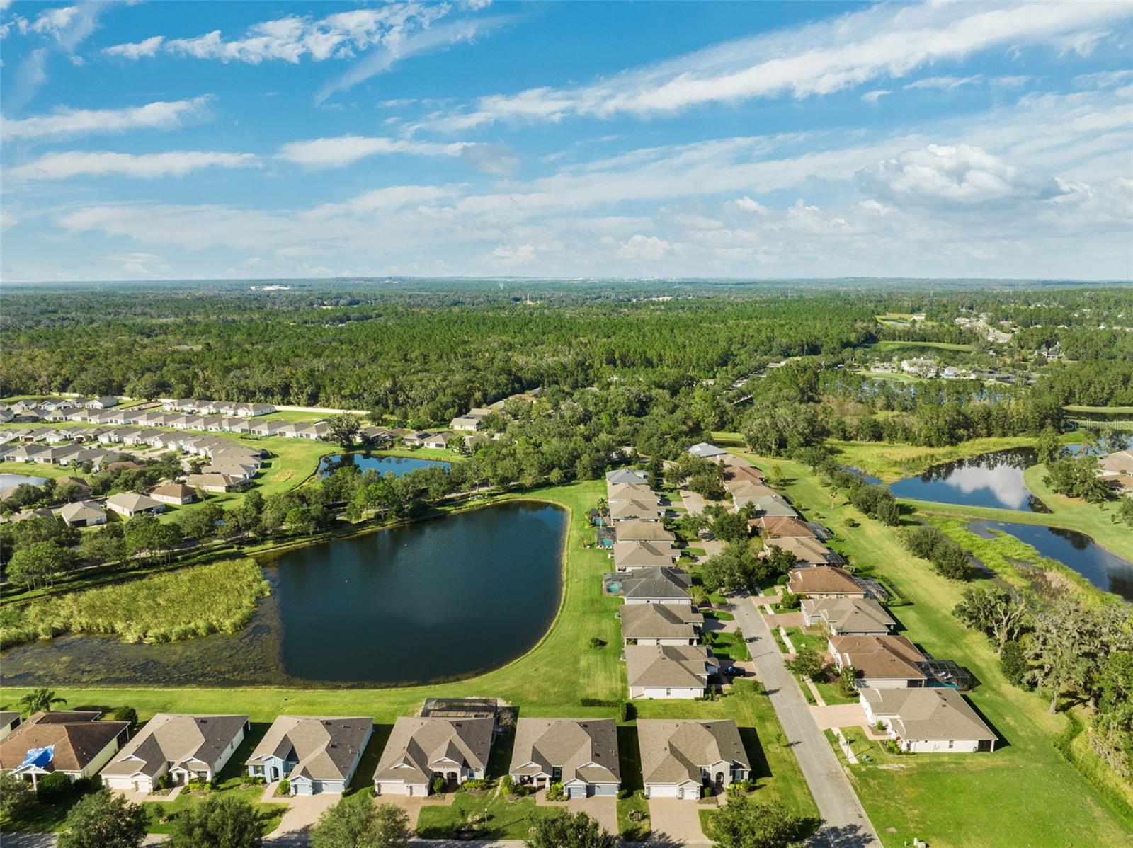 Image 52 of 64 For 19907 Tattnall Way