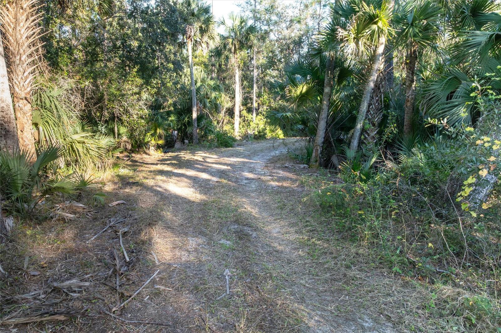 Image 8 of 18 For 1248 Settlers Loop