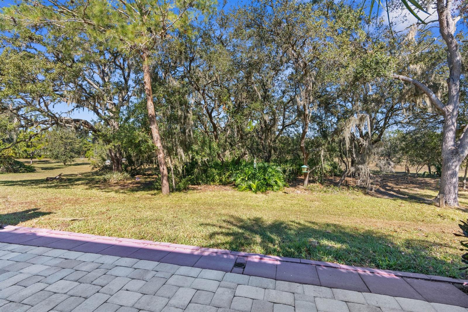 Listing photo id 24 for 13722 Crest Lake Drive