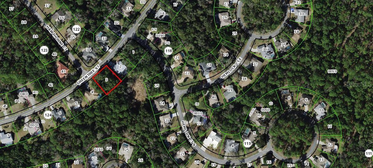 Details for 41 Greentree Street, HOMOSASSA, FL 34446