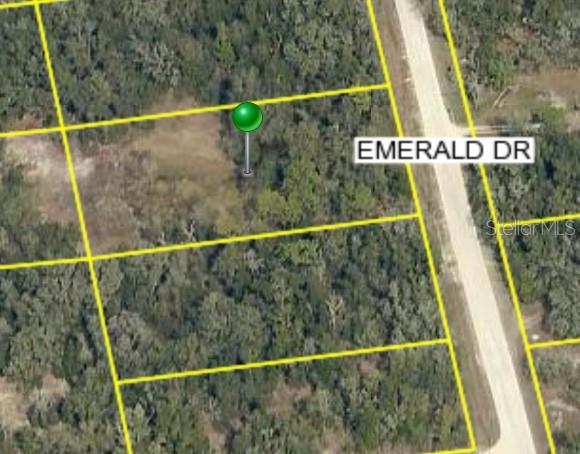 Listing Details for 0 Emerald Drive, RIDGE MANOR, FL 33523