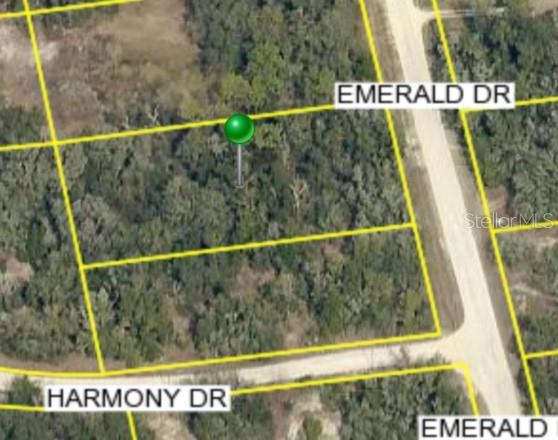 Listing Details for 0 Emerald Drive, RIDGE MANOR, FL 33523