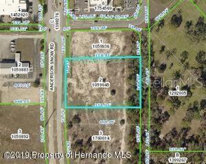 Details for 00 Anderson Snow Road, Spring Hill, FL 34609