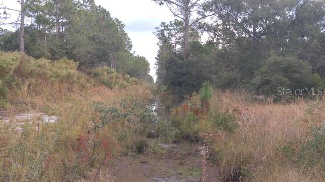 Image 2 of 4 For 0 Oleander Drive
