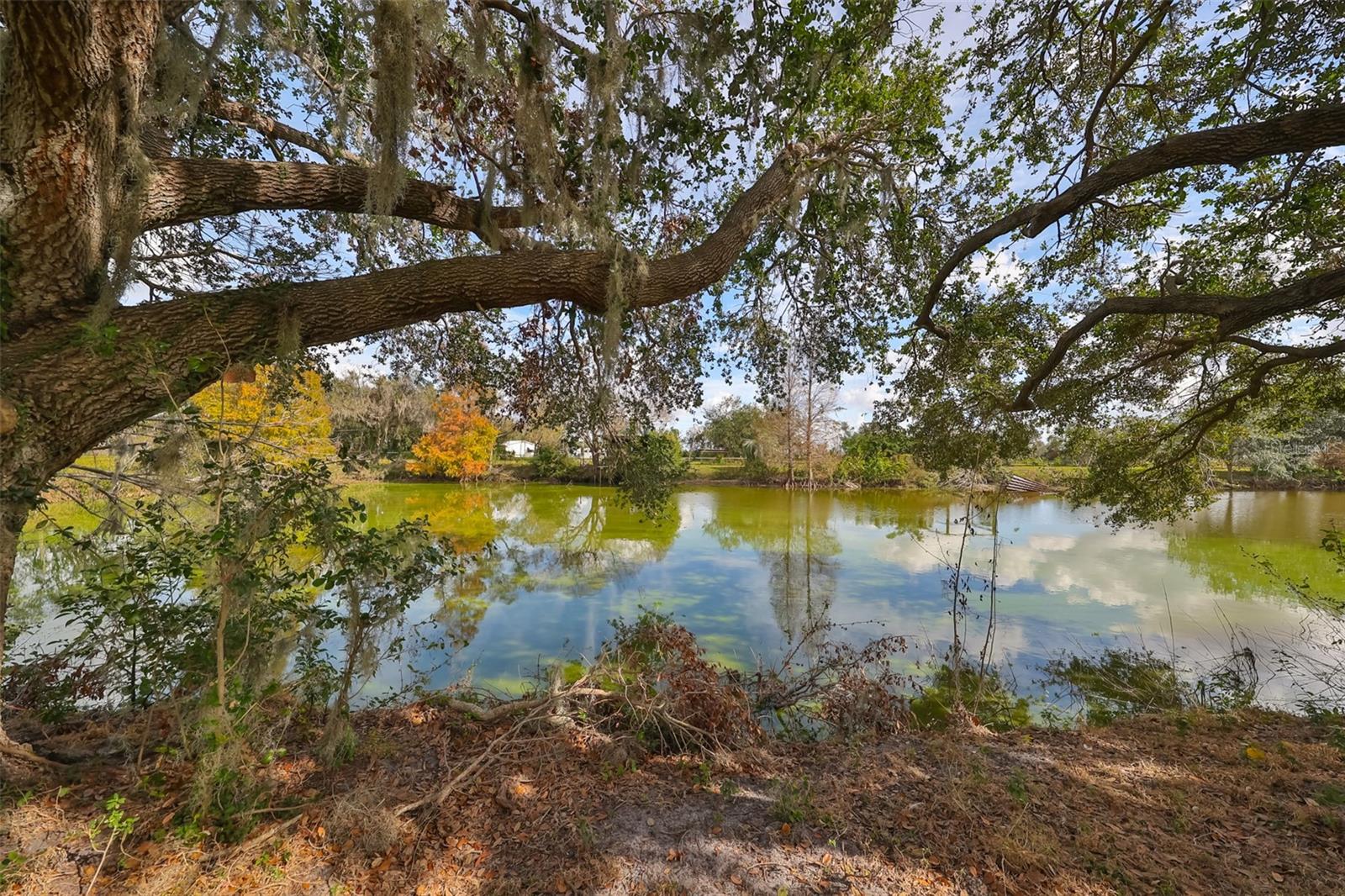 Image 60 of 87 For 15624 Carlton Lake Road