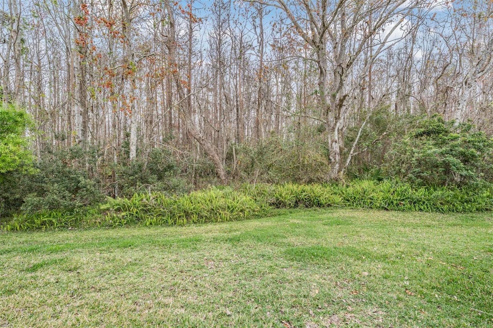 Listing photo id 1 for 1007 Sweet Jasmine Drive