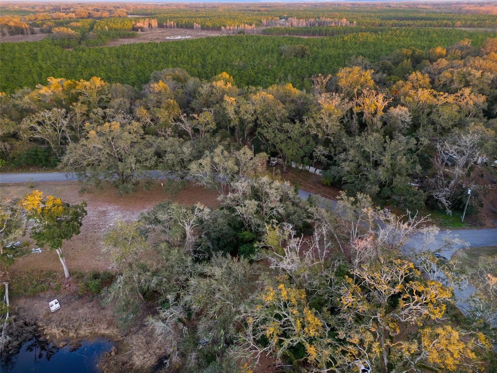 Image 6 of 11 For Alabama Road