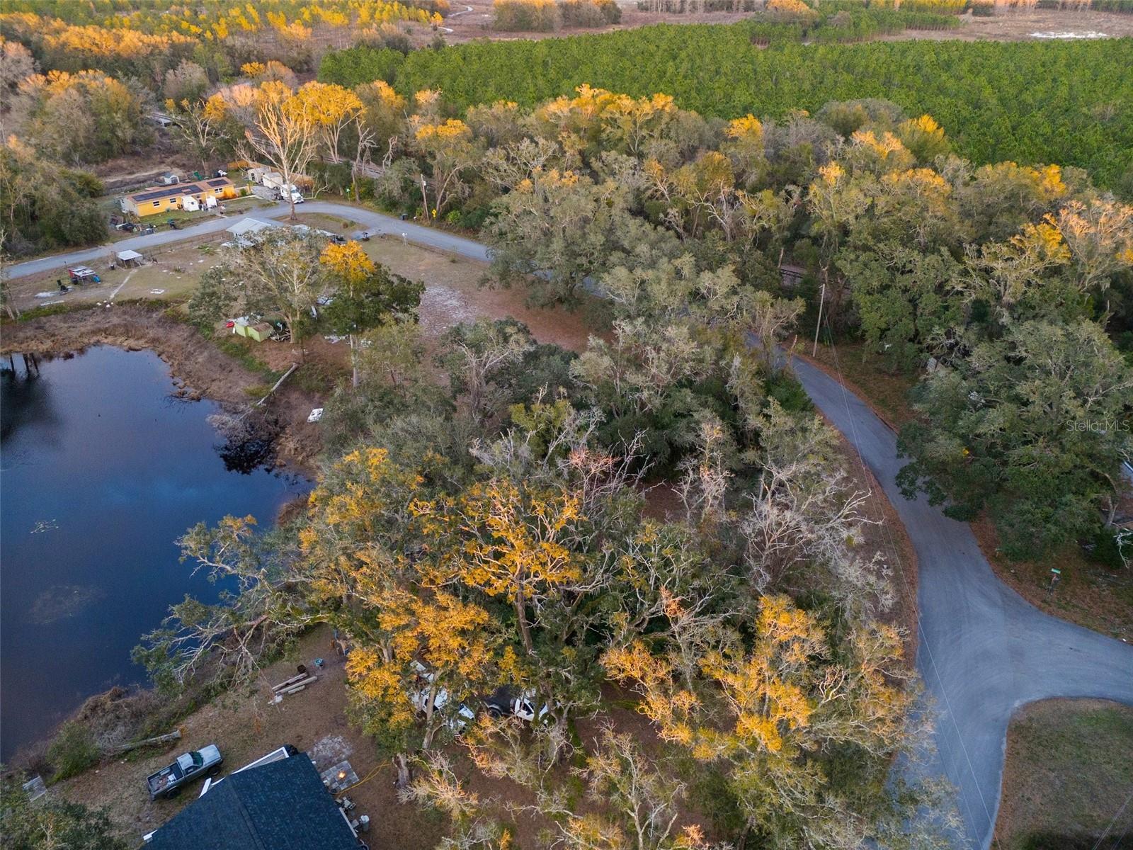 Image 7 of 11 For Alabama Road