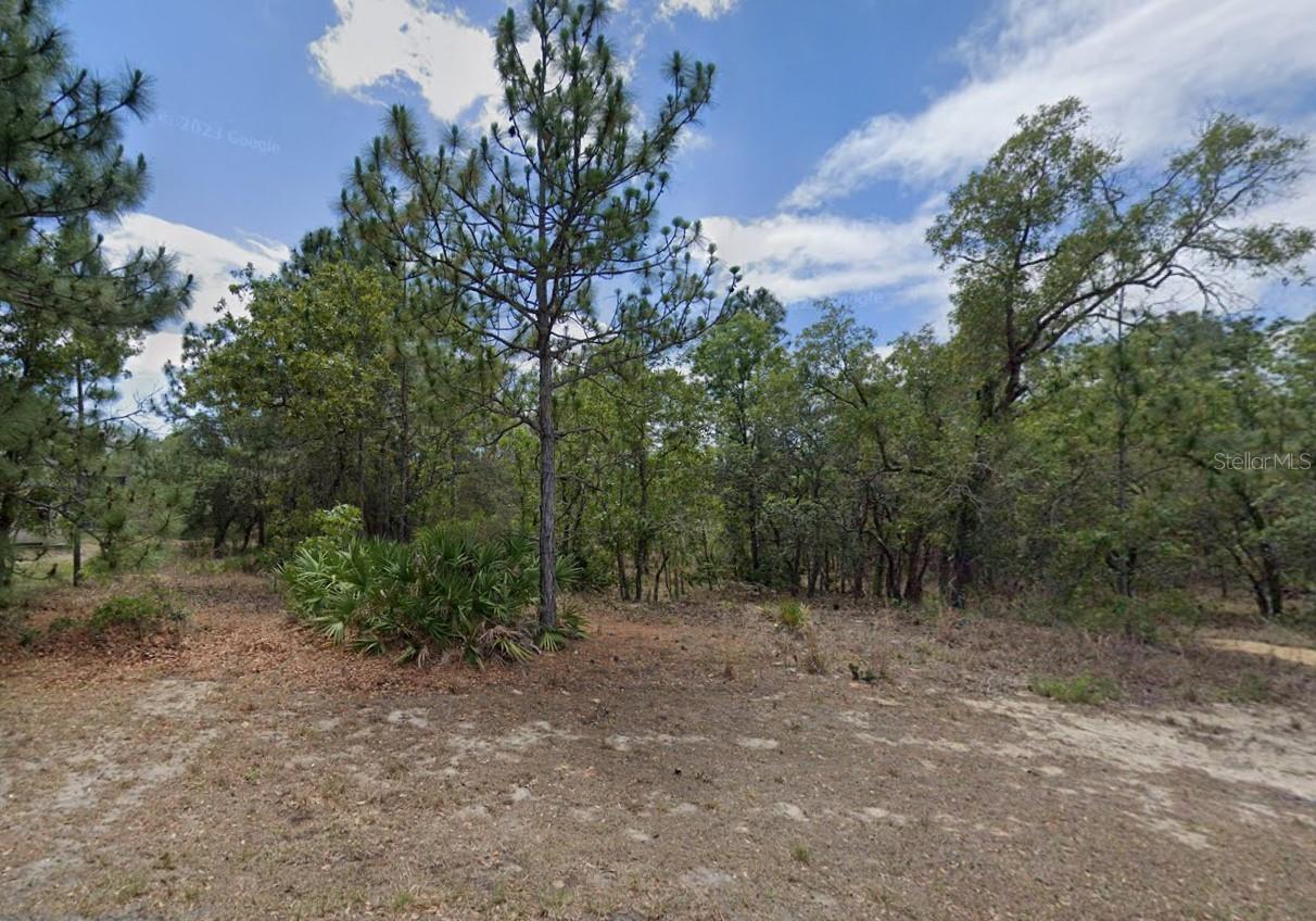 Details for 3 Elder Court W, HOMOSASSA, FL 34446